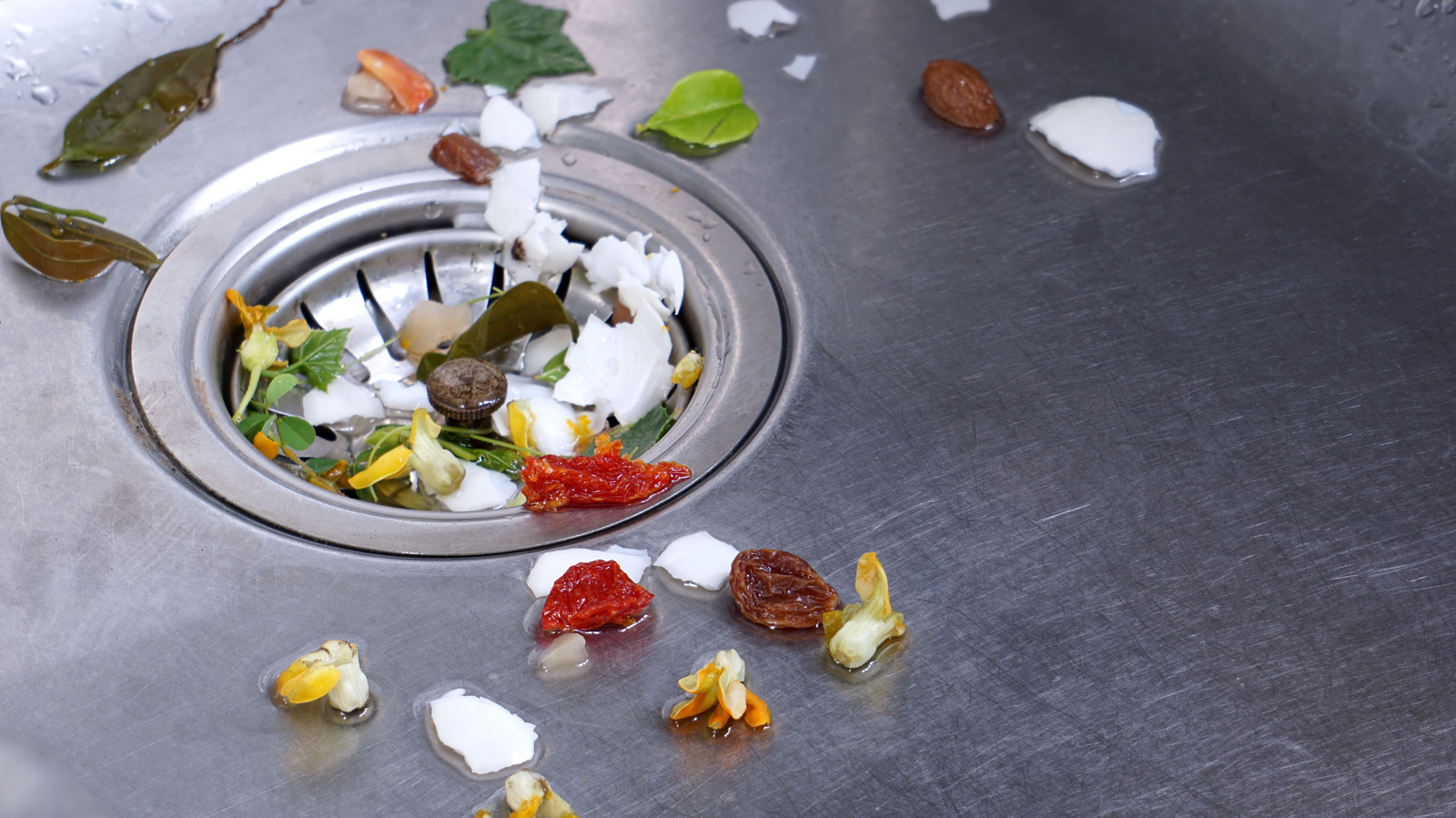 The Hidden Downsides To Garbage Disposals