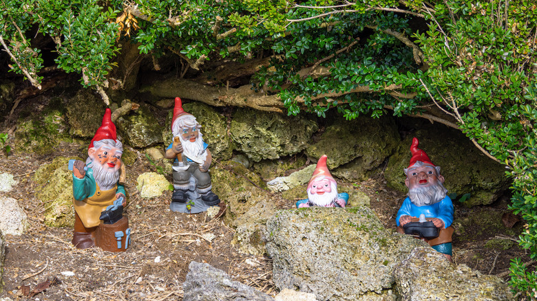 Colorful garden gnomes installed in a garden