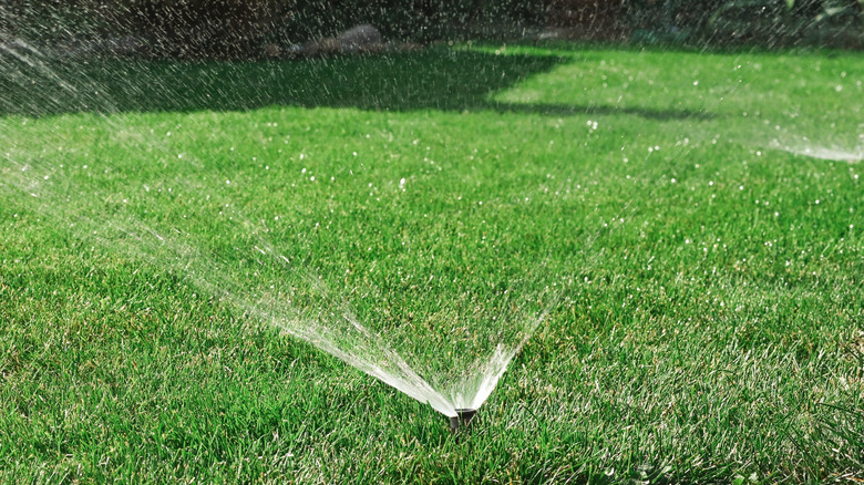 Green grass being watered by sprinkler system.