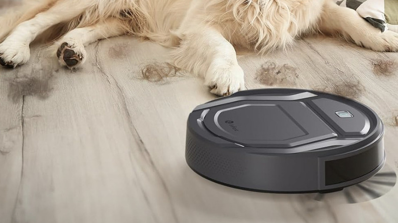 lefant robovac cleaning dog hair off of floor with golden retriever in background