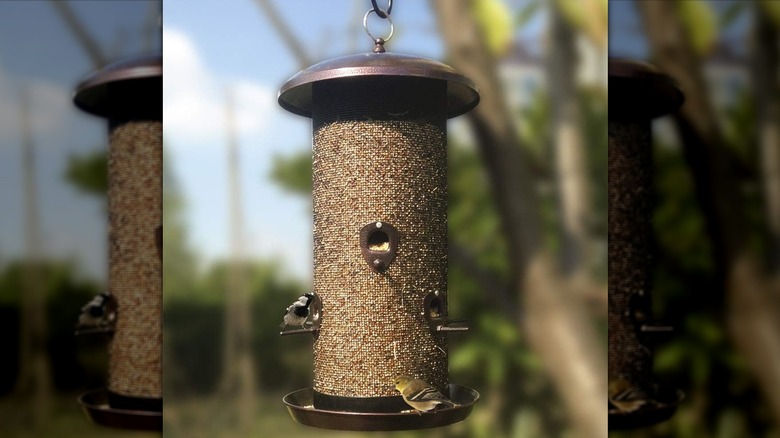 Nature's Rhythm Metal Hopper Bird Feeder filled with seed and several birds at feeder ports