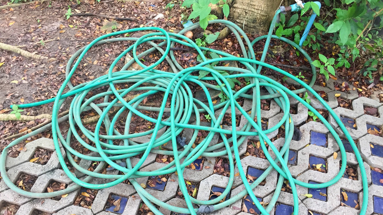Tangled green garden hose attached to spigot in a garden
