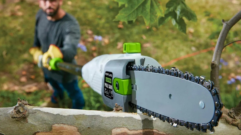 A man using Harbor Freight's Portland 6.5 amp electric pole saw to trim a branch