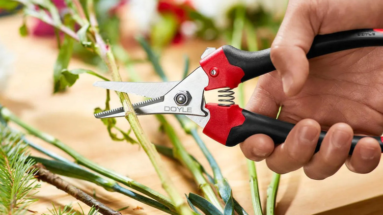 Hands snipping flower stems with the Doyle Micro-Tip Pruning Shears from Harbor Freight.