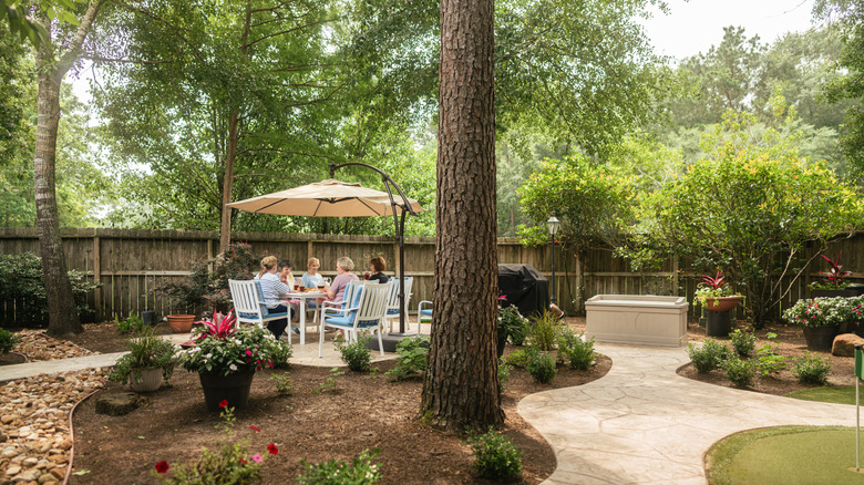 A group of people at table in a shady backyard