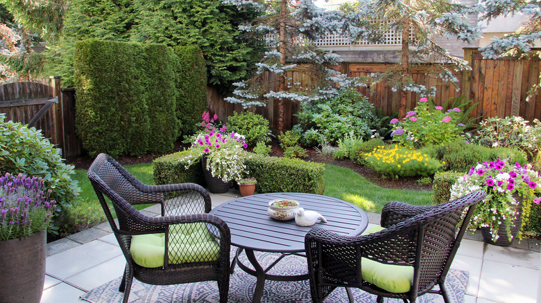 picturesque backyard
