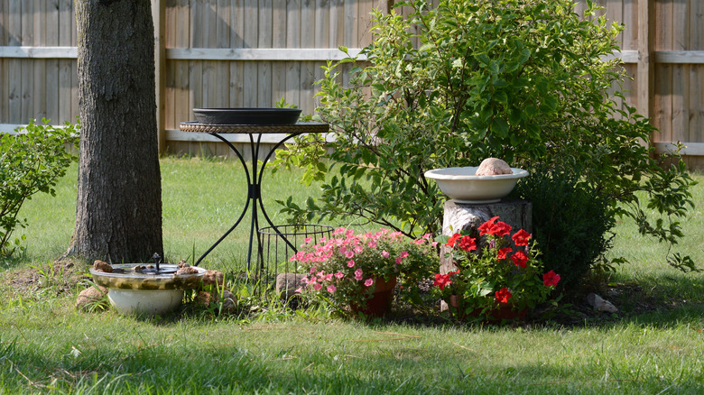 Backyard area designed to attract birds with birdbath, flowers, and feeder