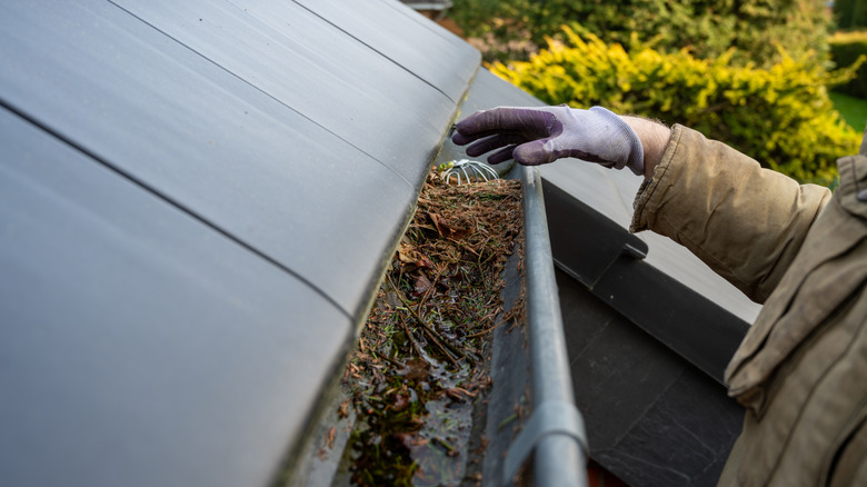Person with gloved hand reaching in to clean a blocked gutter