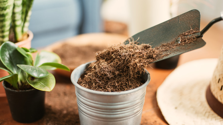 Making a potting mix from coco coir and coco peat