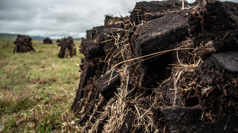 Peat that has been excavated for use