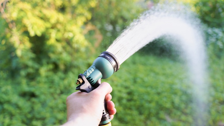 Person spraying water from hose