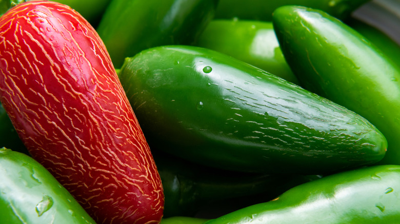 Red and green jalapeno peppers showing corking streaks on skin