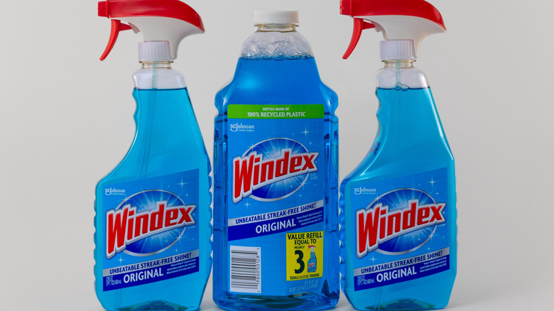 A line-up of Windex products that aren't ammonia-free