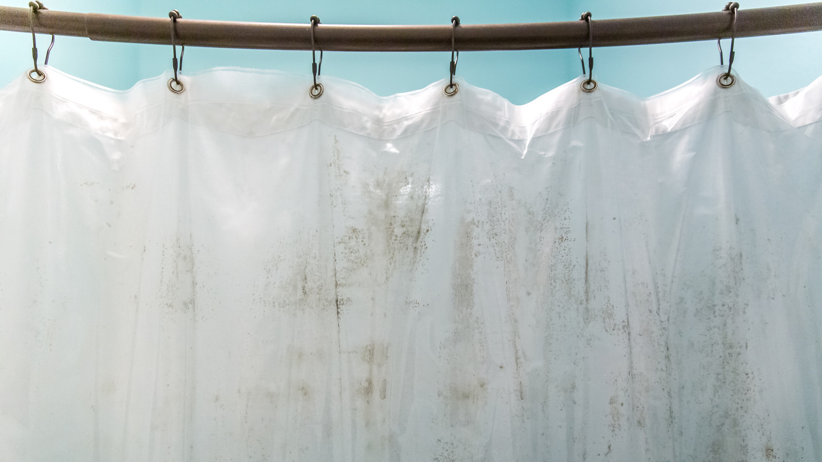 The Household Essential You Can Use To Clean Mold Off Your Shower Curtain the-household-essential-you-can-use-to-clean-mold-off-your-shower-curtain