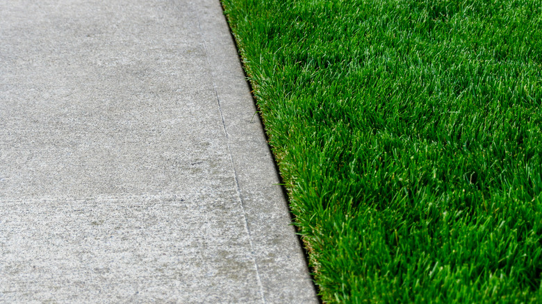 A lovely straight driveway edge