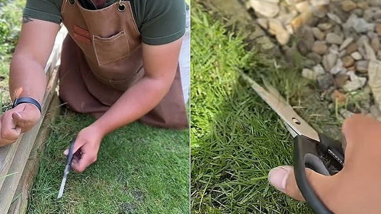 Split image showing the gardener cutting different edges with scissors