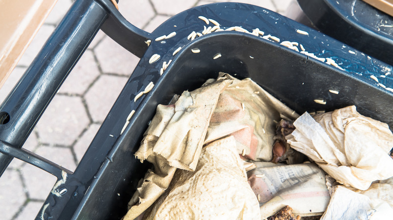 Maggots crawling on garbage bin