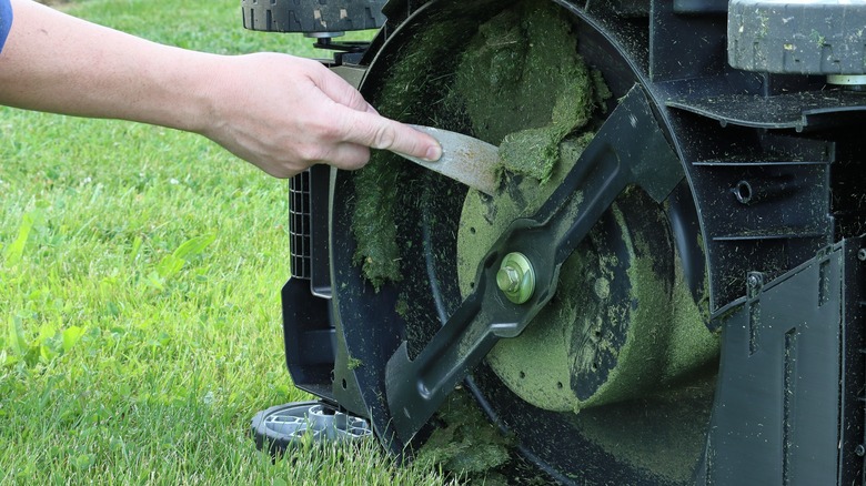 Person cleaning lawn mower