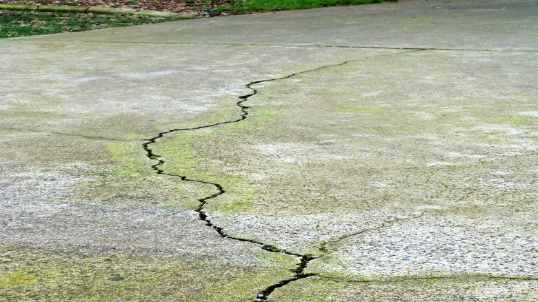 A concrete driveway with a large crack.