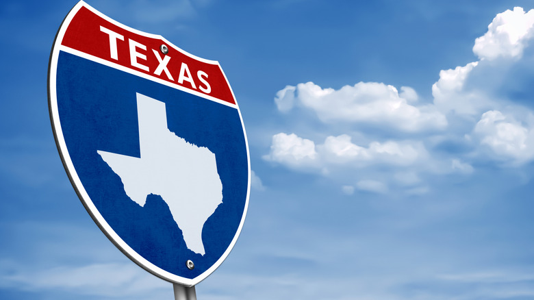 View of a road sign with the word Texas and the outline of the state