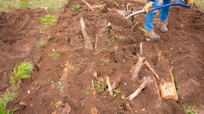 Person shoveling dirt over logs for a hügelkultur garden