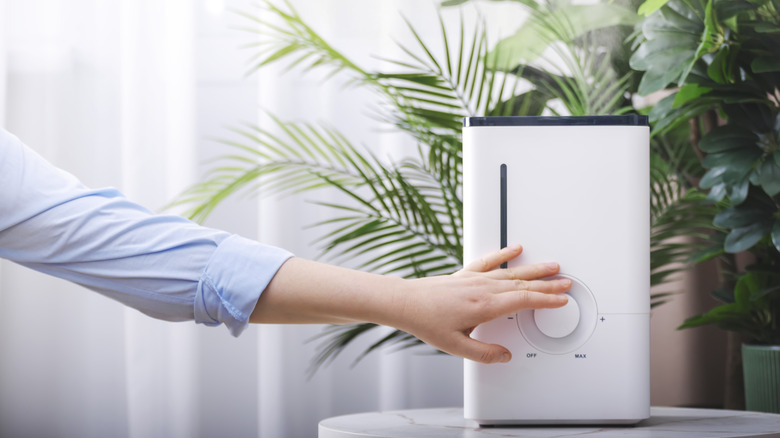 Woman's hand adjusting knob on humidifier