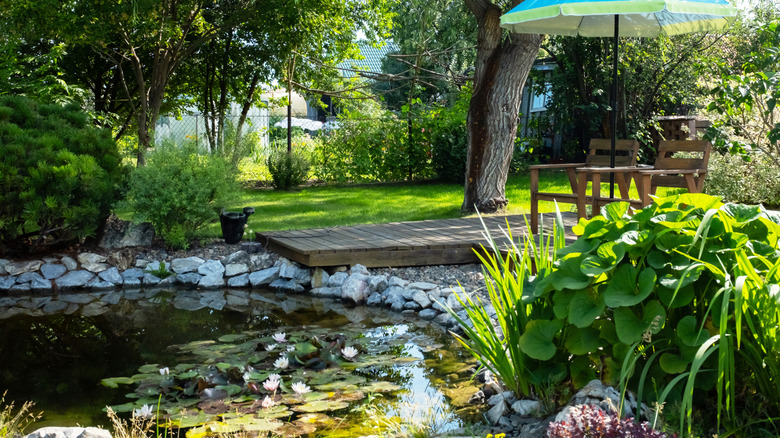 A lovely back garden setting with a large pond, a range of plants, and a table and chairs under an umbrella