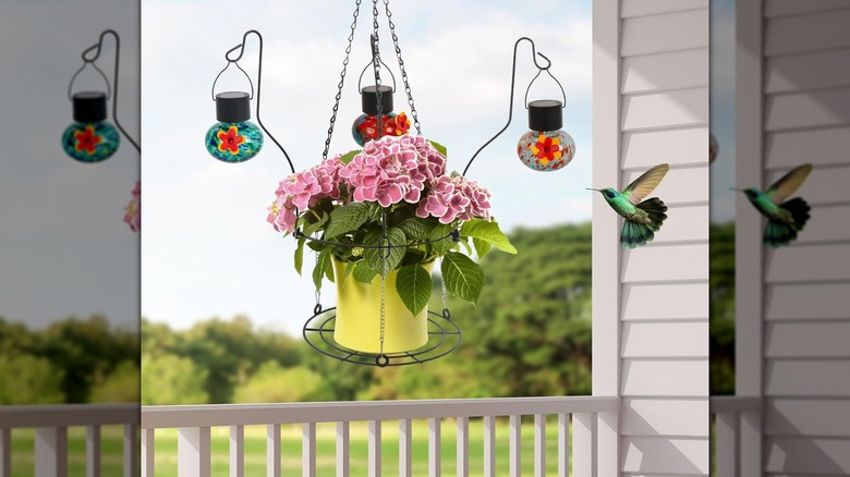 MARCHROSE hummingbird feeder and hanging planter with flowers and hummingbird