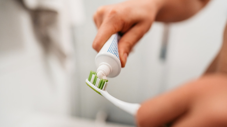 person applying toothpaste on brush
