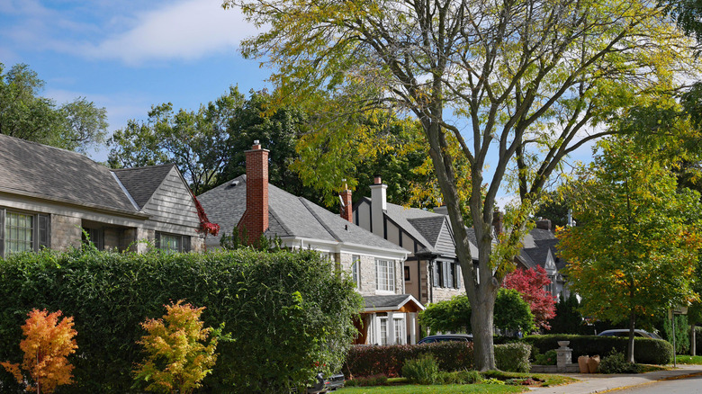 neighborhood with trees in front yards