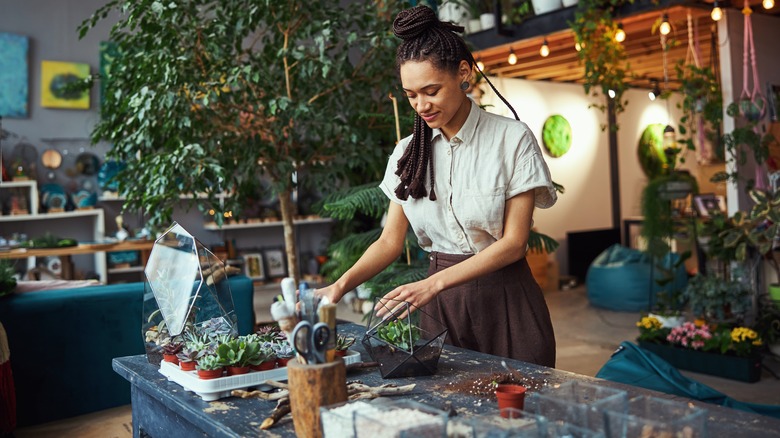 Woman creating plant terrarium 