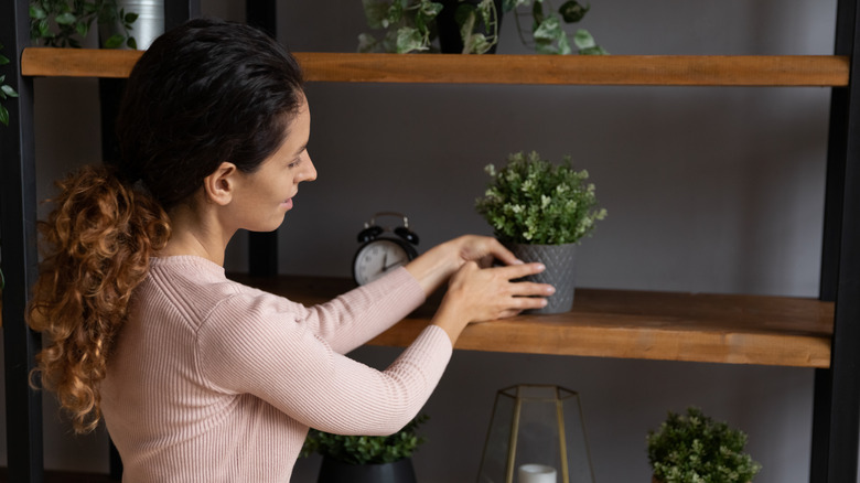 Woman putting plant on shelf