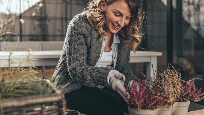 woman in sweater caring for plants