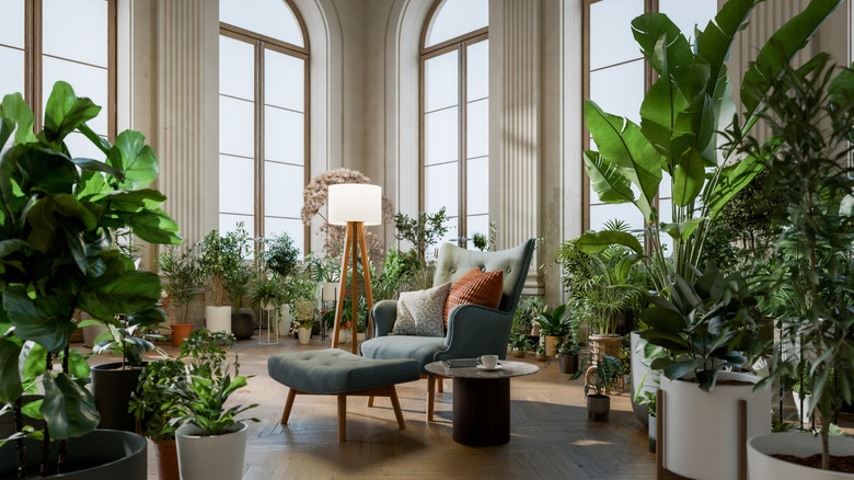 A living room with an abundance of houseplants in low lighting.