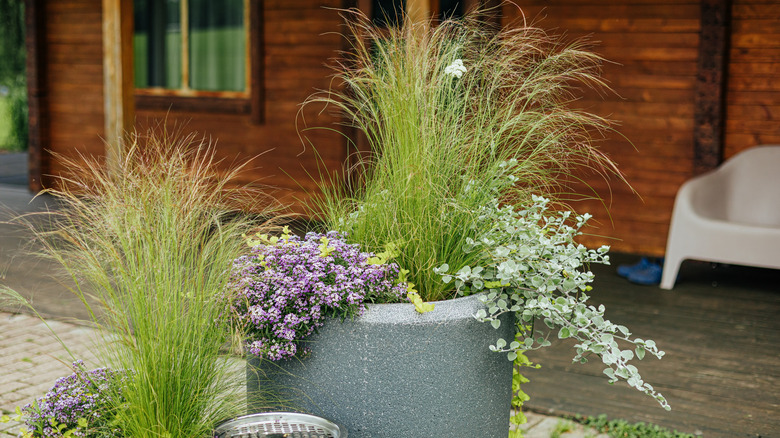 A large decorative planter arrangement with native grass and flowers in front of a house.