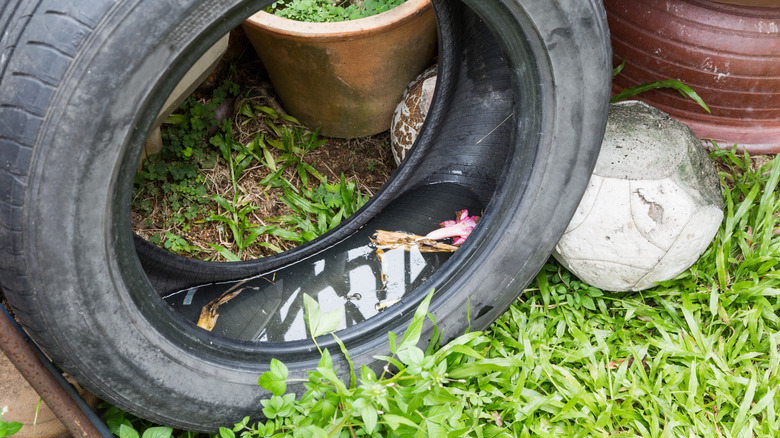 Stagnant water inside a tire