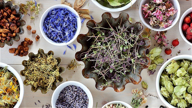 Dried herbs in containers
