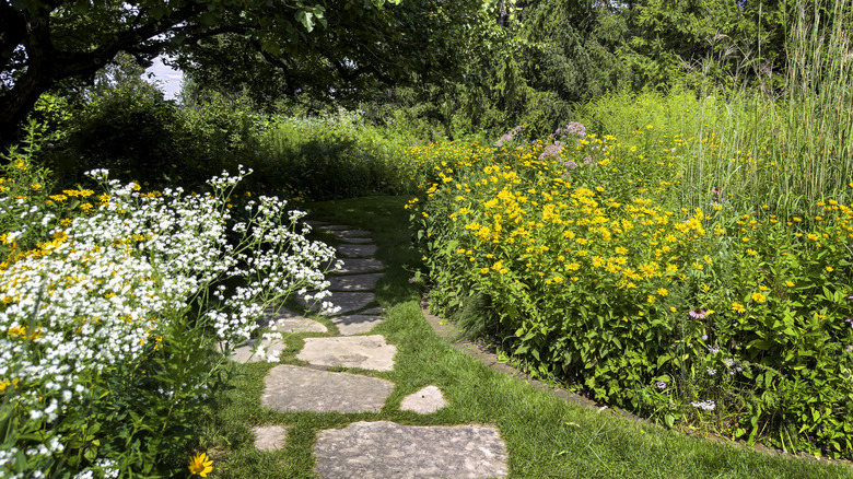 Paved stone path through a lovely native plant garden