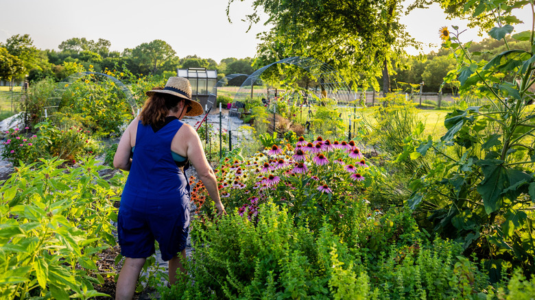 A woman tending to her home garden in Texas
