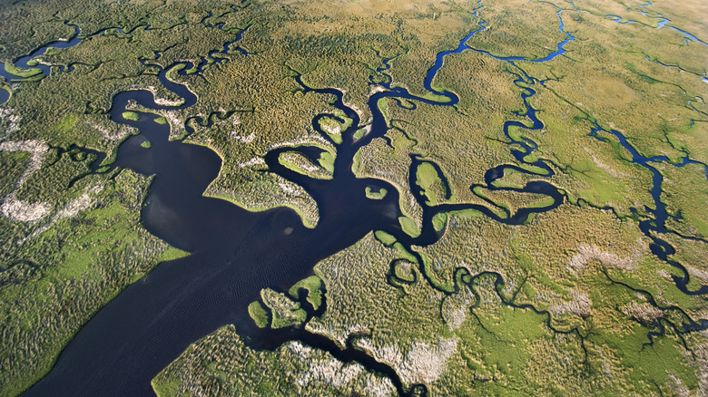 aerial view Everglades National Park