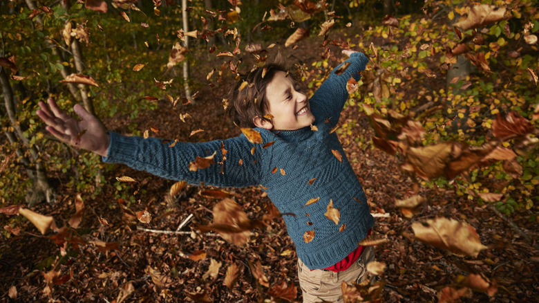 Happy child wearing blue sweater and khaki pants holding arms out in falling leaves.