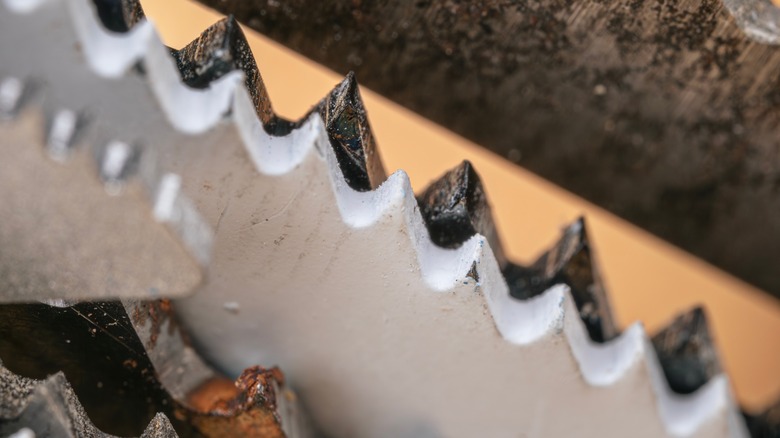 A close-up photo of various jigsaw blades illustrating the different tooth patterns