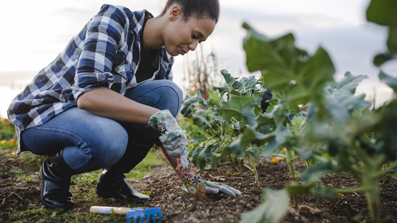 Person working with top soil