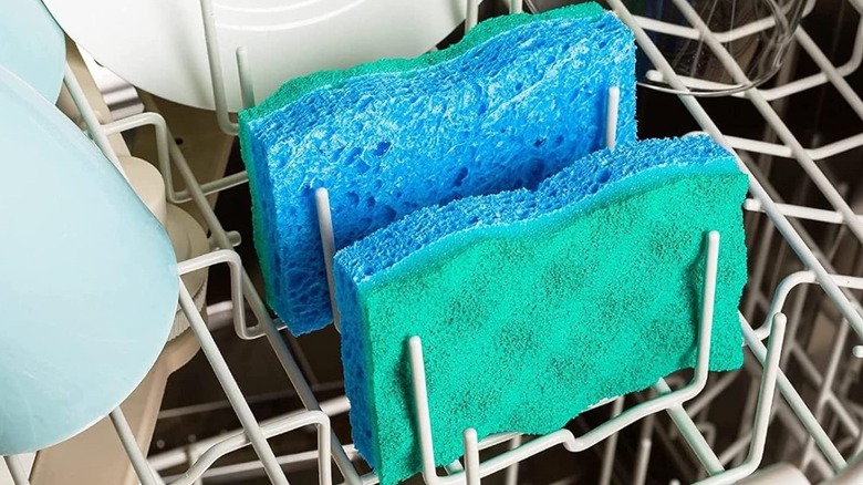 Kitchen sponges sit in the top rack of a dishwasher.