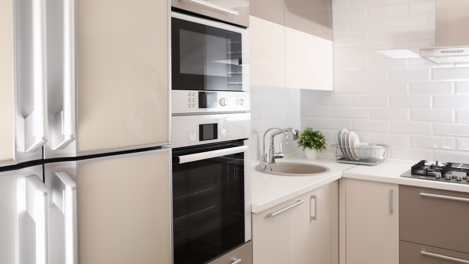 Domestic appliance and home appliance: what are the trends?