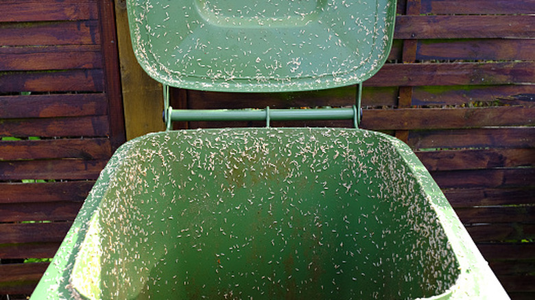 Green garbage bin with maggots.