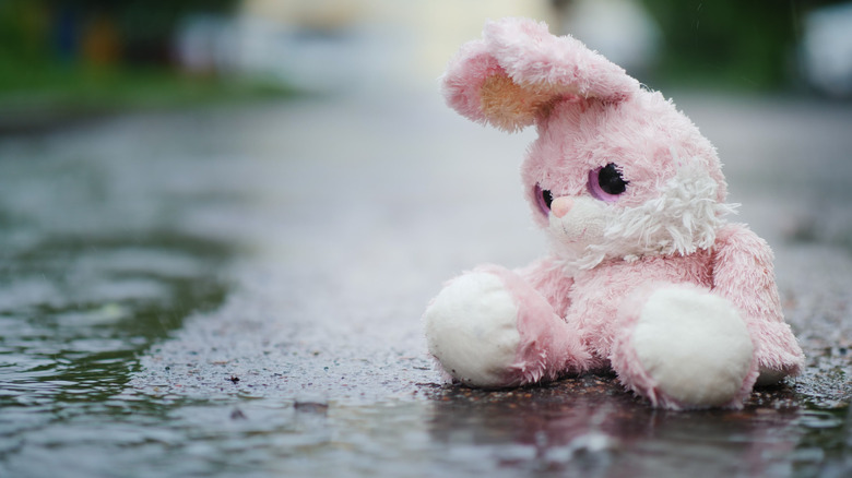 Dirty stuffed animal in rain