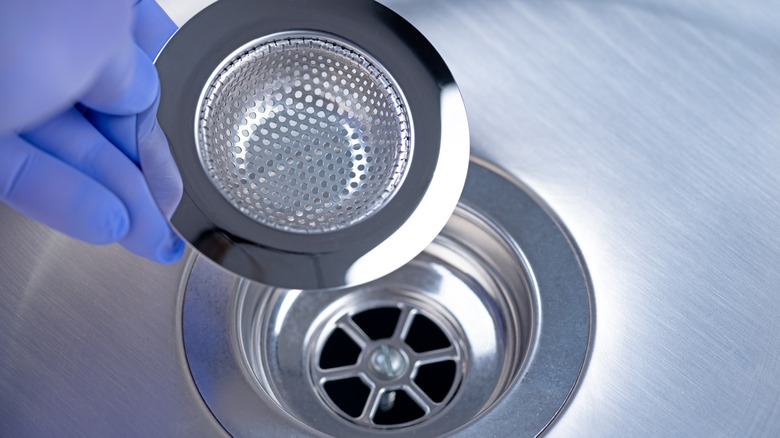 A person with purple gloves inserting a sink strainer into their sink