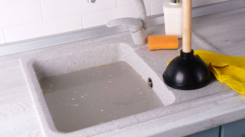 A clogged kitchen sink with plunger next to it