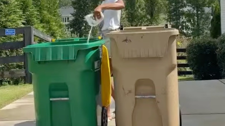 Someone pouring salt in their outdoor trash cans